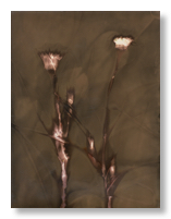 lumen 104 18X24