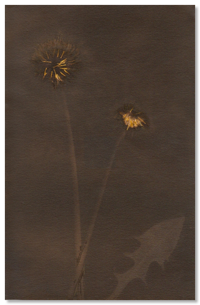 lumen 127 13X18