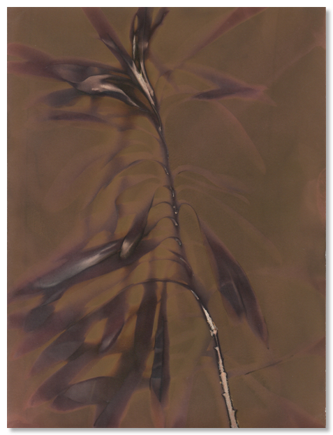 lumen 75 18X24