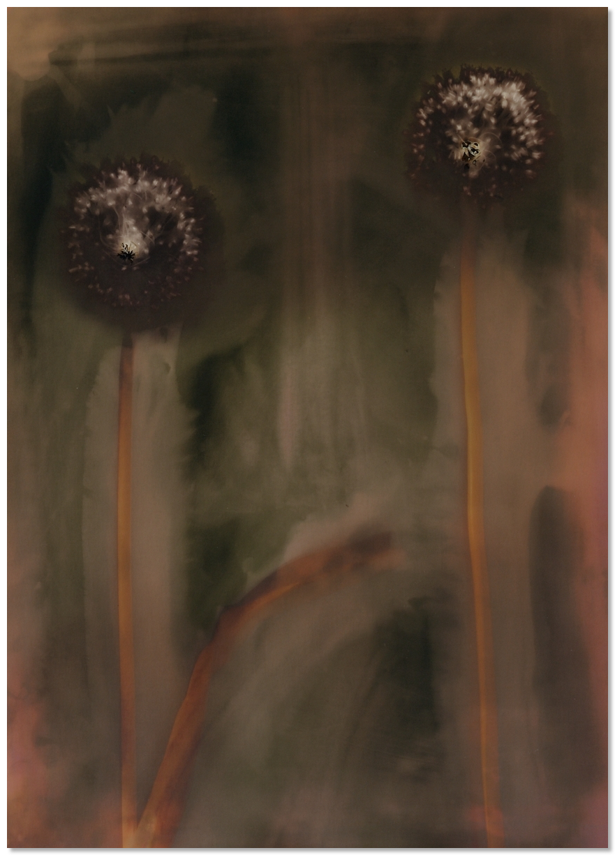 lumen 126 30X40