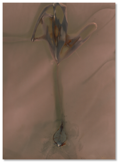 lumen 66 17X23