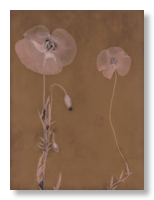 Lumen 25:15 24X30
