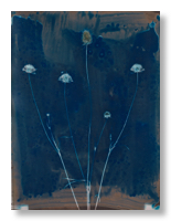 Lumen 25:17 24X30