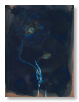 Lumen 25:9 13X18