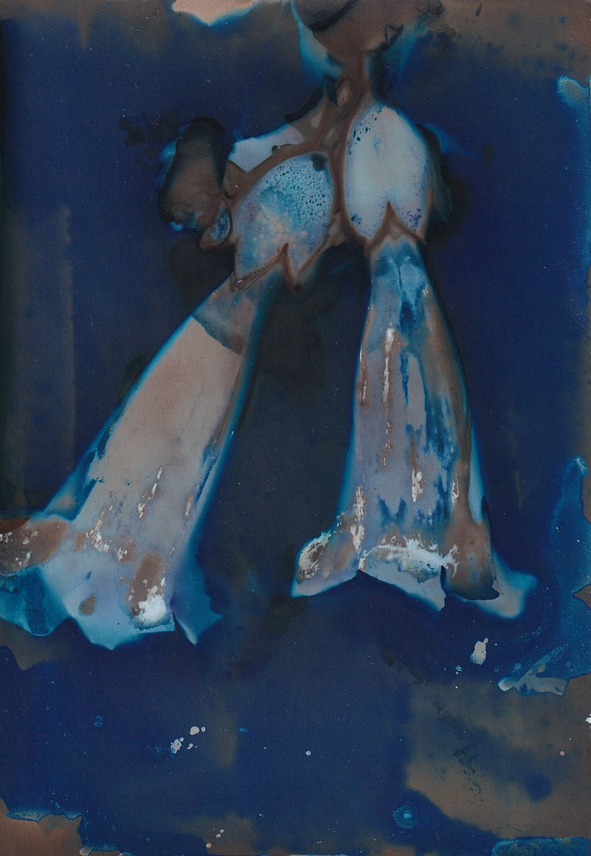 Lumen 25:3 9X12