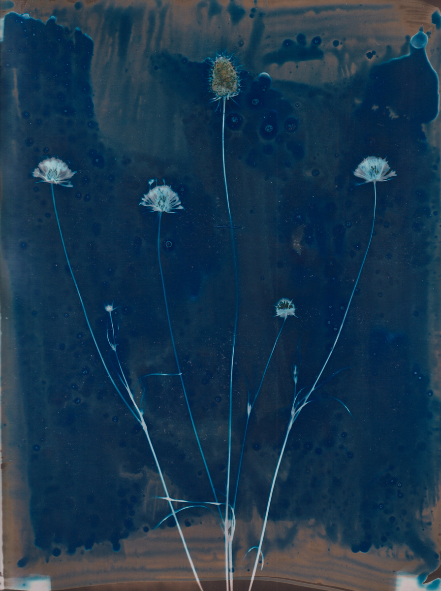 Lumen 25:17 24X30