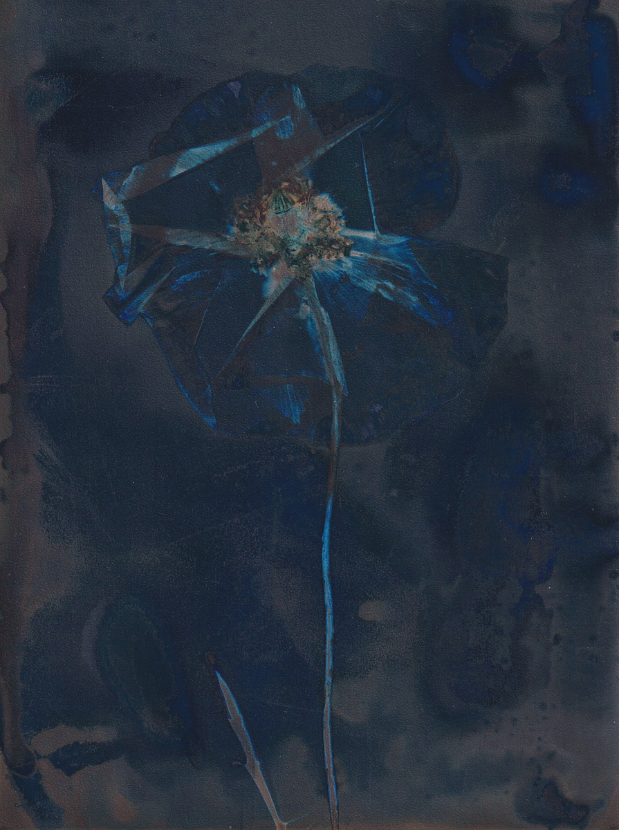 Lumen 25:5 13X18