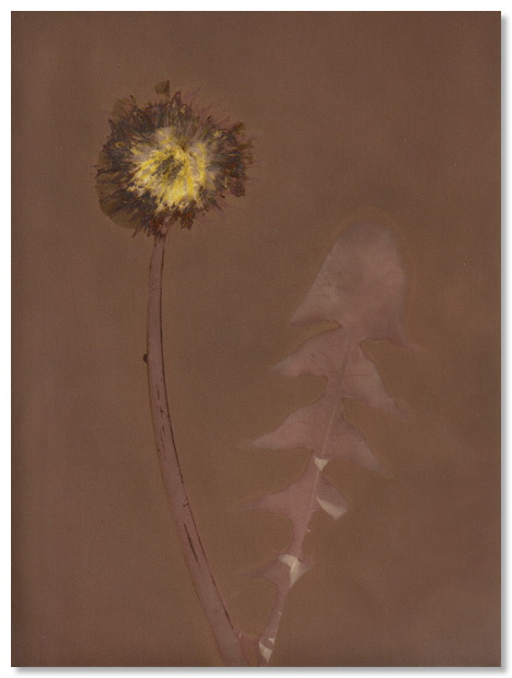 Lumen 25:4 13X18