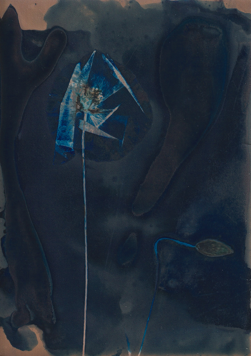 Lumen 25:8 13X18
