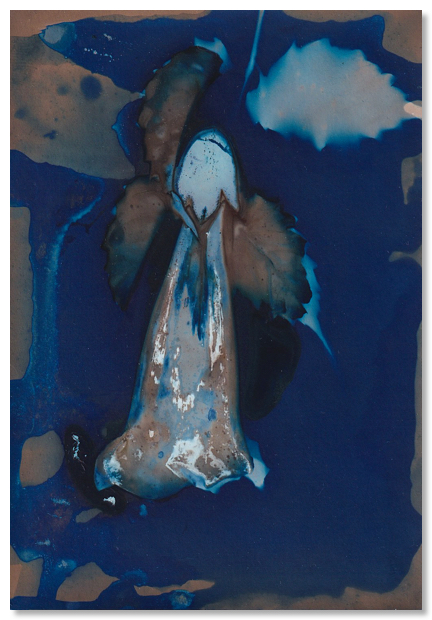 Lumen 25:2 9X12