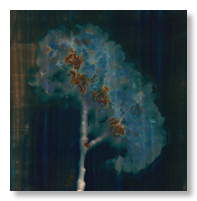 Lumen 21:5 16X16