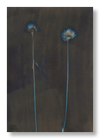 Lumen 21:24 13X18