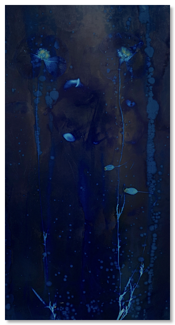 Lumen 21:42 21X39