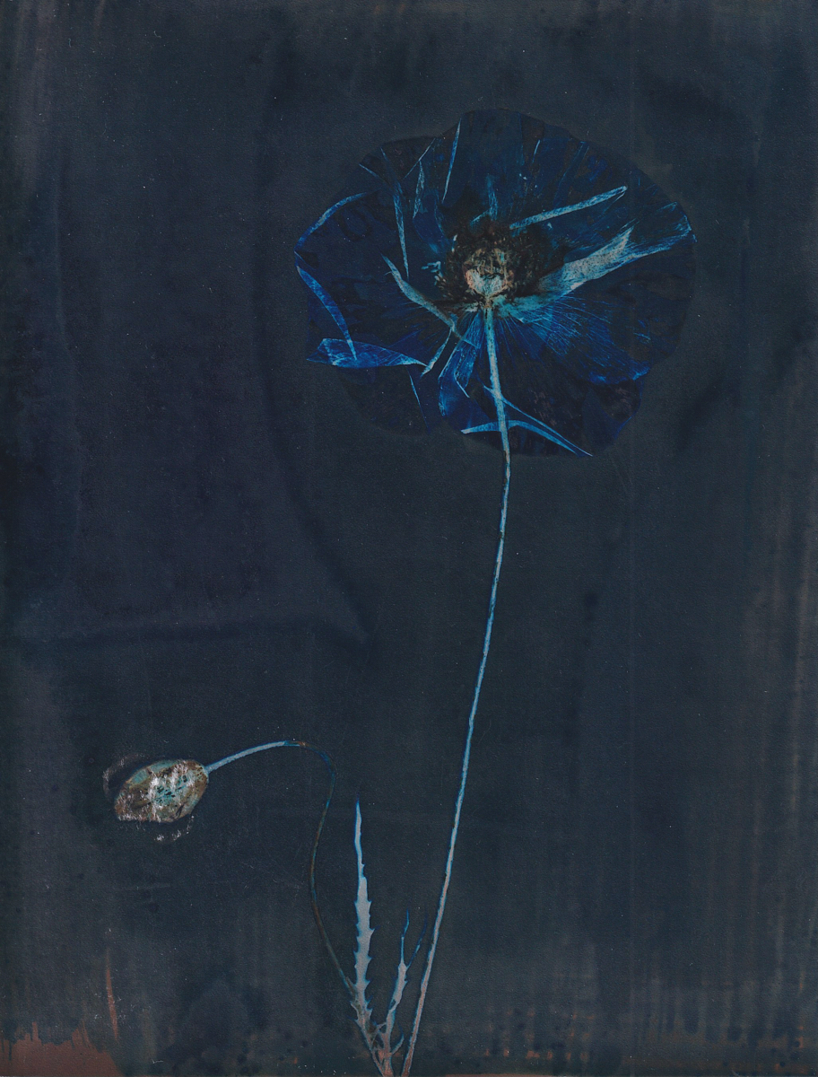 Lumen 25:14 18X24